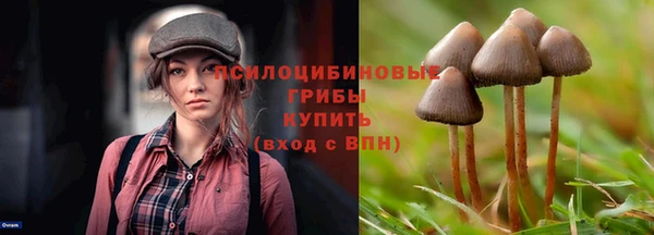 дживик Анива