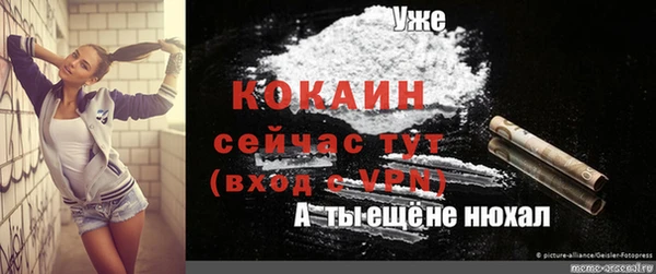 гашик Балахна