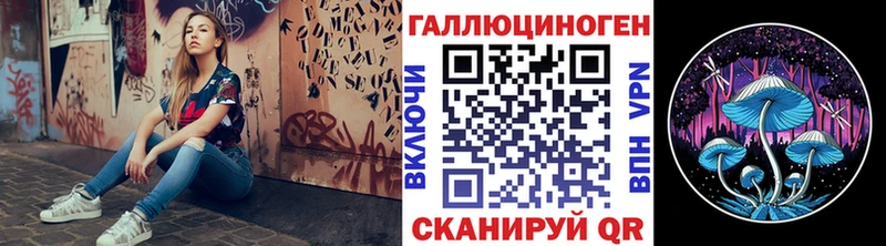 KRAKEN tor  где продают   Жердевка  Псилоцибиновые грибы GOLDEN TEACHER 